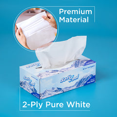 Soft N Cool Facial Tissue 200 Sheets X 2 Ply ( 5 x6 boxes)30 Boxes