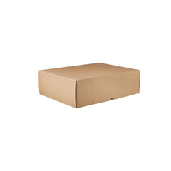 100 Pieces Multipurpose Cardboard Corrugated E-Commerce Shipping Box