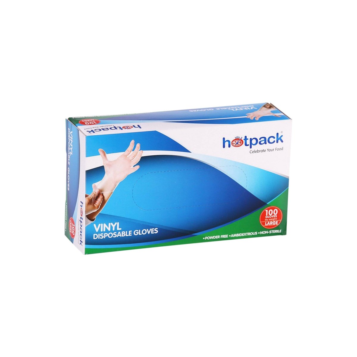 1000 Pieces Powder Free Vinyl Gloves